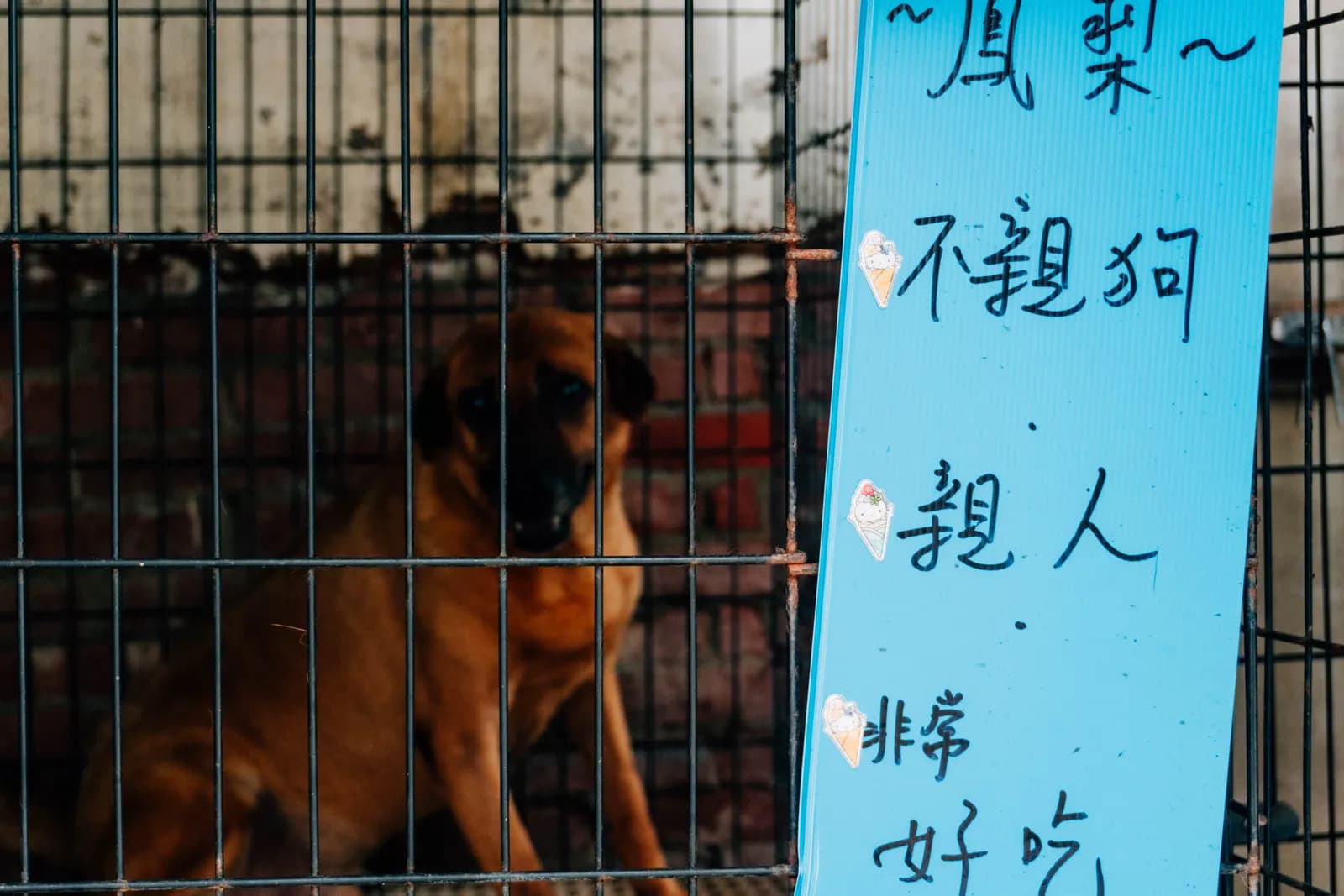 彰化愛媽中途之家