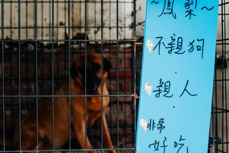 彰化愛媽中途之家